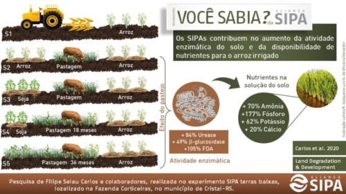 Você sabia?