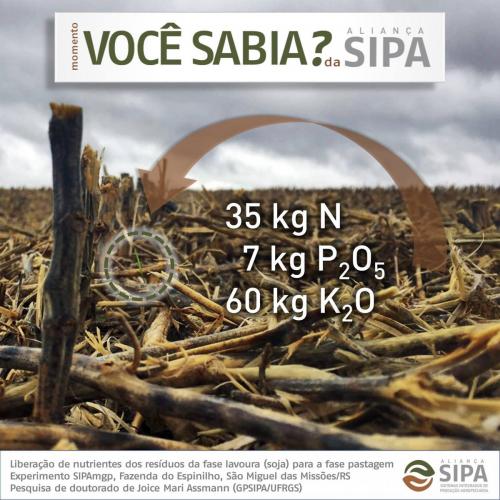 Você sabia?