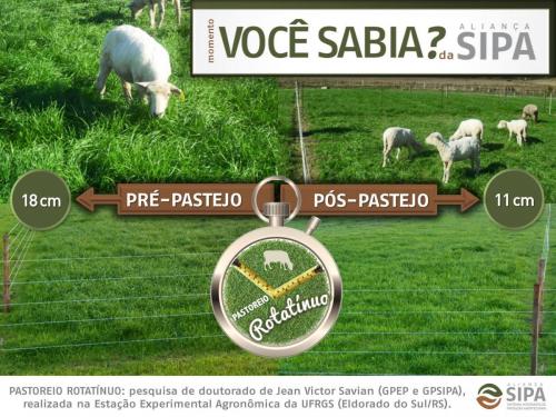 Você sabia?