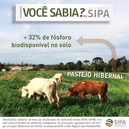 Você sabia?