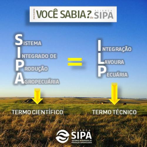 Você sabia?