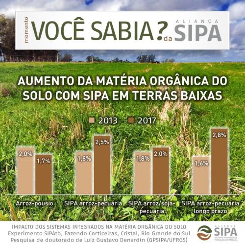 Você sabia?