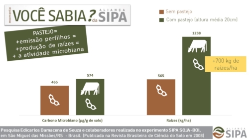 Você sabia?