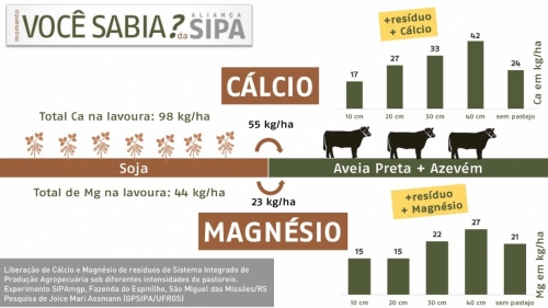 Você sabia?