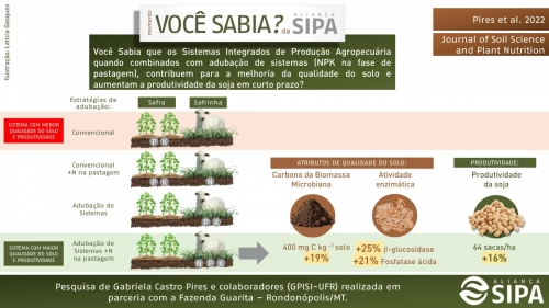 castro-pires-et-al